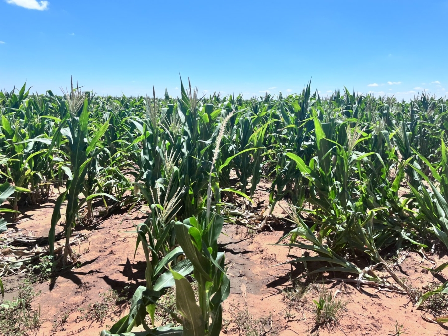 Commercial Property for Sale in Bloemfontein Rural Free State